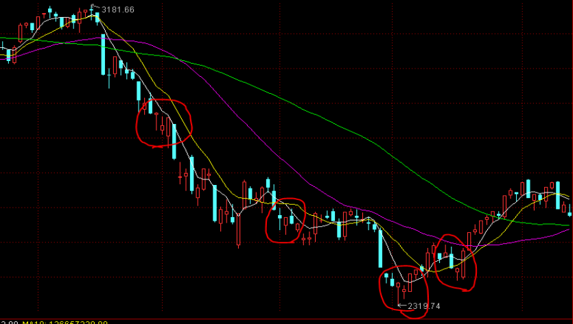 医我看丨基孔肯雅热康复期怎么吃？多抗炎、补蛋白，营养均衡最关键