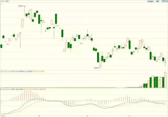 南海正式开渔，广东开启耕海牧渔新征程