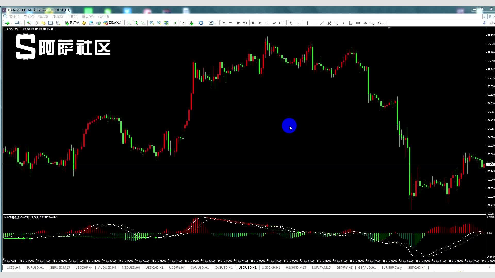 40分钟钓出26尾虾！新会钓虾比赛热闹开竿！