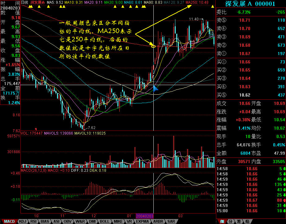 团市委“相约星期六”七夕升级，“联动全城”为青年精准“牵线”