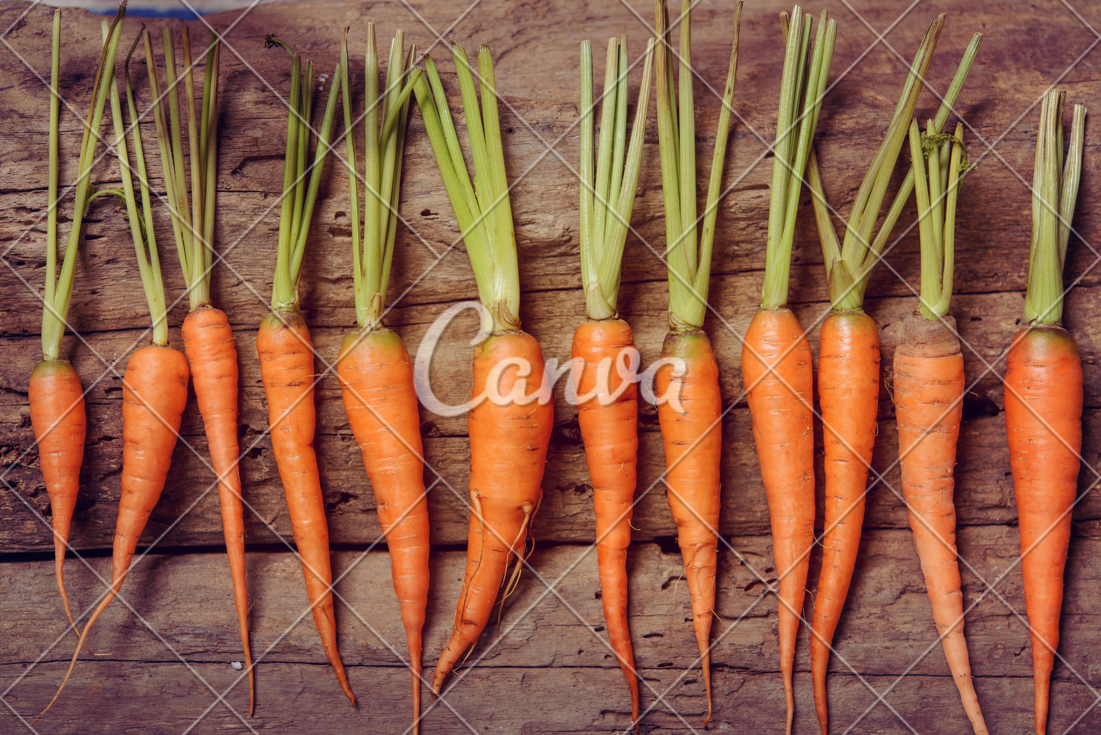 秋的脚步近了！全国入秋进程图出炉