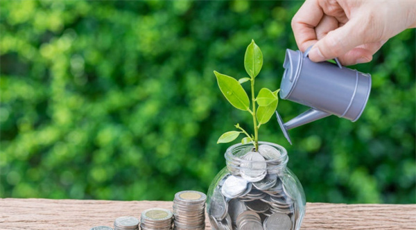 2025年上半年梅州市邮政行业运行情况出炉